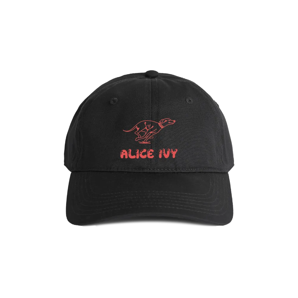 Alice Ivy / Do What Makes You Happy Charcoal Cap