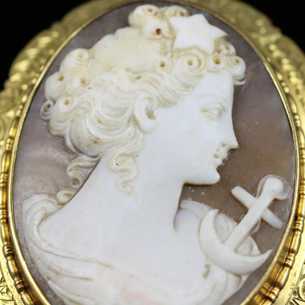 Antique Cameo Brooch Gold Victorian Circa 1860