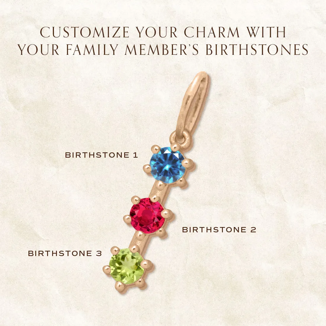 Family Emblem Birthstone Charm Setting