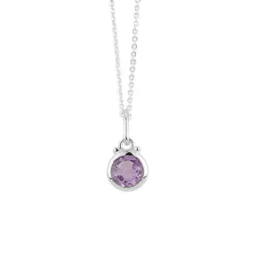 February Birthstone Charm Necklace in Silver