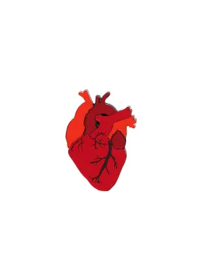 Mini Anatomical Heart Brooch